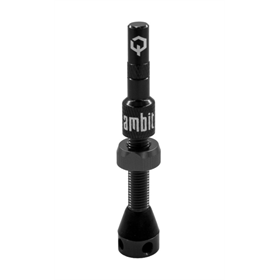 Wentyl AMBIT Tubeless Valves Realm