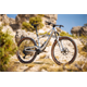 Rower MTB BULLS Wild Ronin Team