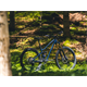 Rama MTB DARTMOOR Rocbird 29