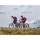 Szorty rowerowe MTB DARTMOOR Woods