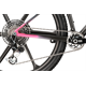 Rower MTB GHOST Lector World Cup