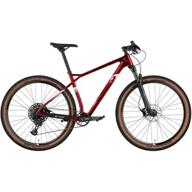Rower MTB RAYMON HardRay 7.0