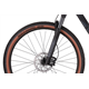 Rower MTB RAYMON HardRay Nine 6.0