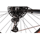 Rower MTB RAYMON HardRay Nine 6.0