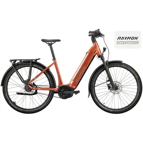 Rower elektryczny RAYMON Metmo Nexus (1x8)
