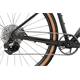 Rower gravel RAYMON Territ Ultra