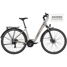 Rower trekkingowy RAYMON Zayn Comp