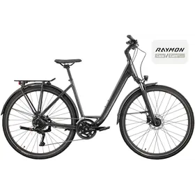 Rower trekkingowy RAYMON Zayn Pro
