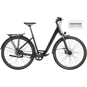 Rower trekkingowy RAYMON Zayn Ultra