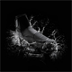 Buty MTB SHIMANO SH-MW502 MW5 Wide