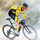 Opona VITTORIA Corsa Pro Control G2.0