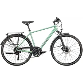 Rower trekkingowy WINORA Domingo X18