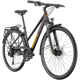 Rower trekkingowy WINORA Domingo X20